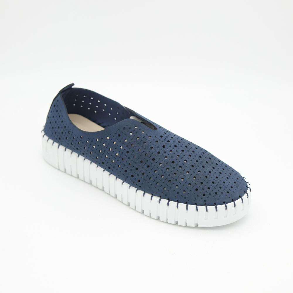 02555_2|4c32c127a2a09e98ea514dbedc56dc8b